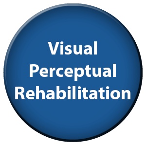 Visual Perceptual Rehabilitation